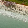 ironman-2012-florianopolis-05.jpg